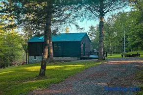 Views, Pines & Perfect Vibes - Image 3