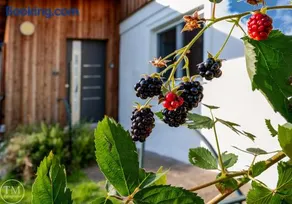 Silbersberg Cottage - Image 3