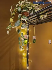 Tranquil Lake District Village Apartment - Image 3