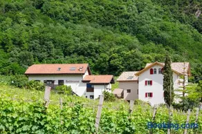 Ferienwohnungen Hochbrunner - Image 3