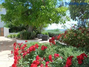 Betania - Image 2