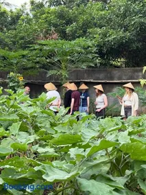 Daphne Homestay & Cooking Class - Image 2