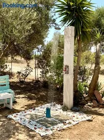 Horizon House, with Olive Grove and a small Vineyard - Image 4
