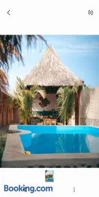 IGUANA HOUSE - Image 1