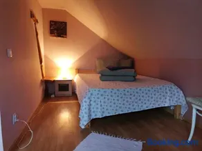 Forest House - Image 3