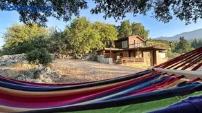 The Root House - Crete Stay - Image 2