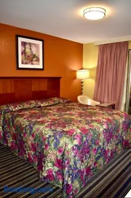 Walnut Forest Motel - Image 3
