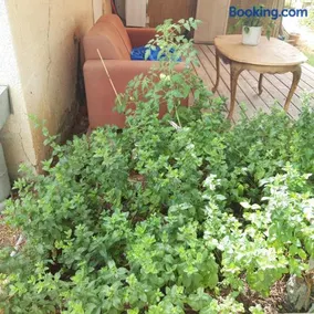 Quiet and beautiful bungalow near to old Jaffa City - Image 1