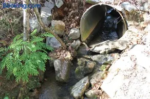 Meadowview Springs - Image 4