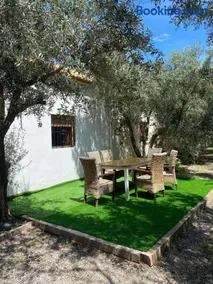 Las olivas - Image 4