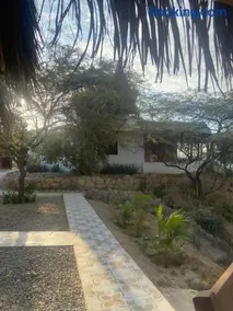 kontiki - Image 4