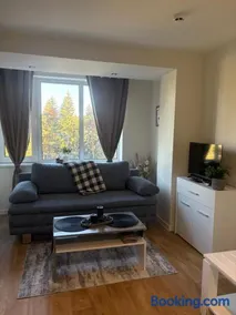 Chamkoria Borovets luxury apartment view - Image 1