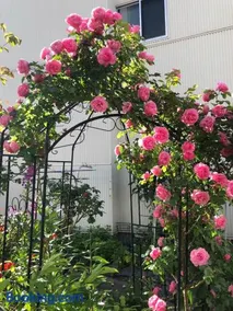 Guest House 来夢 - Image 2