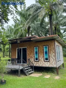 Lak Kao Nai Resort หลักเก้า ไนท์ รีสอร์ท - Image 4