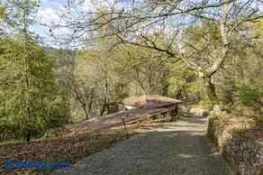Quinta do Rio Homem - Image 2