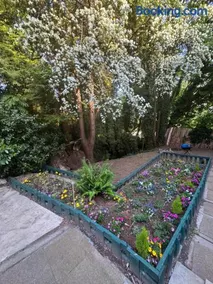 Sasha-Home 538 Brookmere Ave - Image 4
