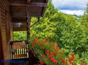 Cabana din poiană - Image 3