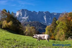Ferienwohnungen Freidinglehen - Image 1