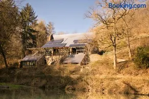 Zonga Bonzai - Image 1