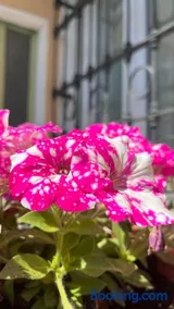 Casa Angioletta - Image 2
