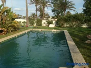 Oasis - Image 4