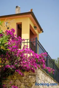 Katerina's Houses - Image 2