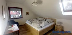 Ferienwohnnung Ruth - Familienurlaub im Erzgebirge - Image 4