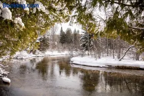 Crystal Cabin on the Betsie - Image 2