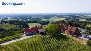 Apartma med vinogradi - Image 3