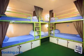 Big Tree Hostel - Image 2