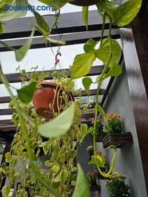 CASA AMARELA RECANTO Mesmo bairro da pizzeria Borgo Del Vino - Image 3