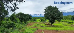 Entire Private Farm on Rent 2 Acre with 3 Room, it's Kittu's Farm - Image 4