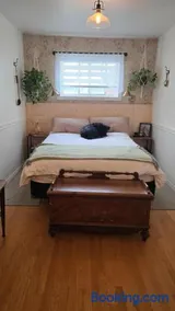 Just Cozy - Image 5