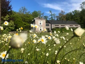 Domaine De L'Ardoisiere - Image 2