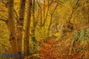 Le Charmelan - Image 1