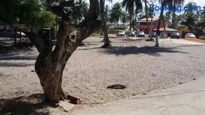 Paraiso da Deise - Image 4