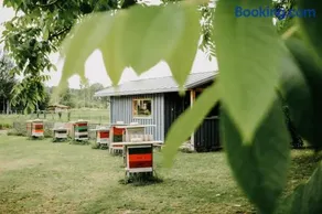 Holiday house with landscape garden - Image 1