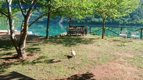 Bujtina Liqeni i Shkopetit - Image 2