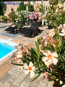 Ferienhaus mit Pool - Pension im Seußlitzer Grund - Image 3