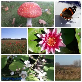 La Résidence des Fleurs - Image 2