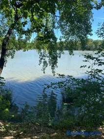 Bienvenue au bois d Eden - Image 2