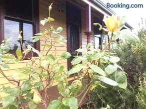 Albion Cottage - Image 1