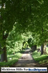 Mickleton Hills Farm Cotswold Holiday Cottages - Image 5