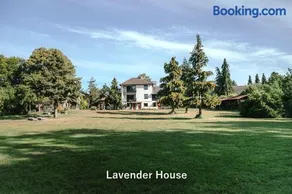 Lavender House - Image 2