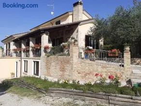 VILLETTA TRA GLI ULIVI - Image 1