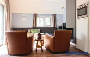 Houtduif - Image 4