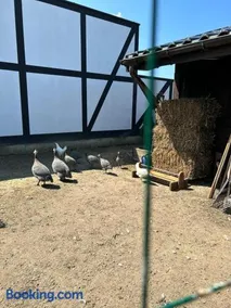 Pokoje gościnne nad morzem - Image 3