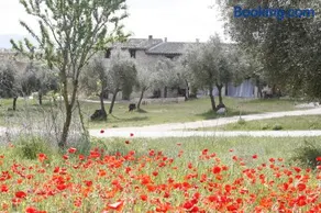 Hort de L'Aubert - Image 3