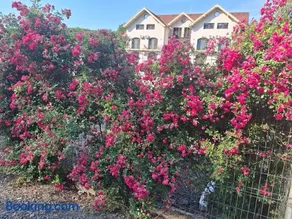 Sofial Guesthouse - Image 1