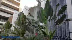 Sheraton Ocean 401 - No Pool Access - Image 4